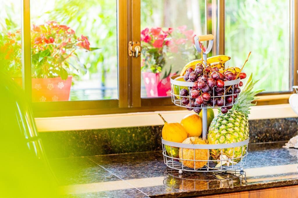 Villa Amor Del Mar With Breathtaking View Of Ocean & Jungle 도미니칼 외부 사진